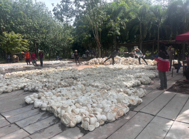 ติดตามธุรกิจรวบรวมยาง “กลุ่มเกษตรกรทำสวนยางก้าวหน้าสามัคคี” พารามิเตอร์รูปภาพ 7